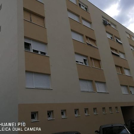 Apartment Mihaela Zadar Extérieur photo