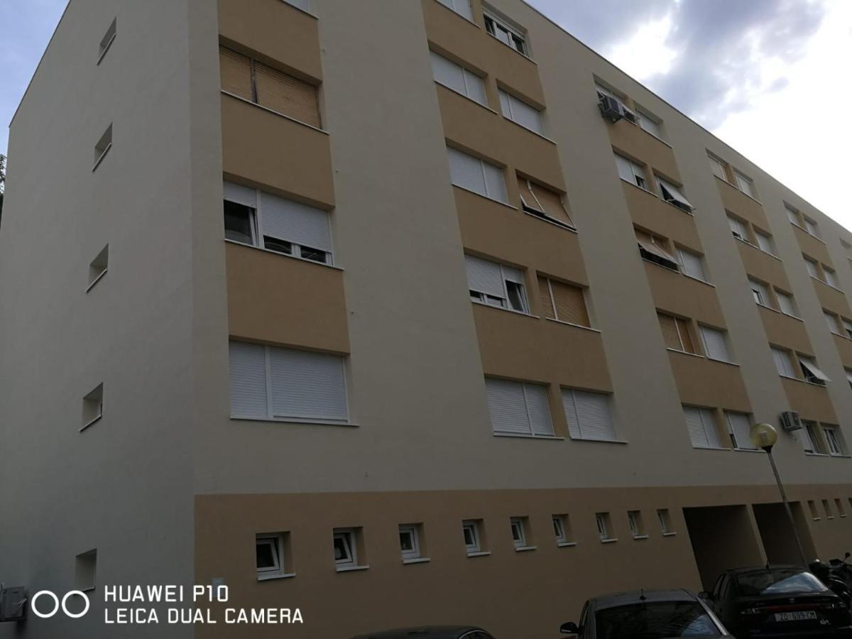 Apartment Mihaela Zadar Extérieur photo